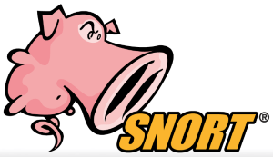 unblock website from snort network intrusion detection system software
