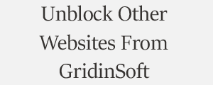 Unblock Website From GridinSoft Best Antivirus Cybersecurity Tool Plans