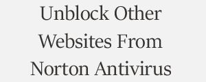 Unblock Website From Norton Antivirus Plans