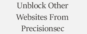 Unblock Website From Precisionsec Threat Solution Plans