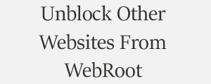 Unblock Website From WebRoot CyberSecurity Threat Intelligence Services Plans