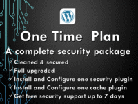 Are You A WordPress Website Owner? - One Time Plan